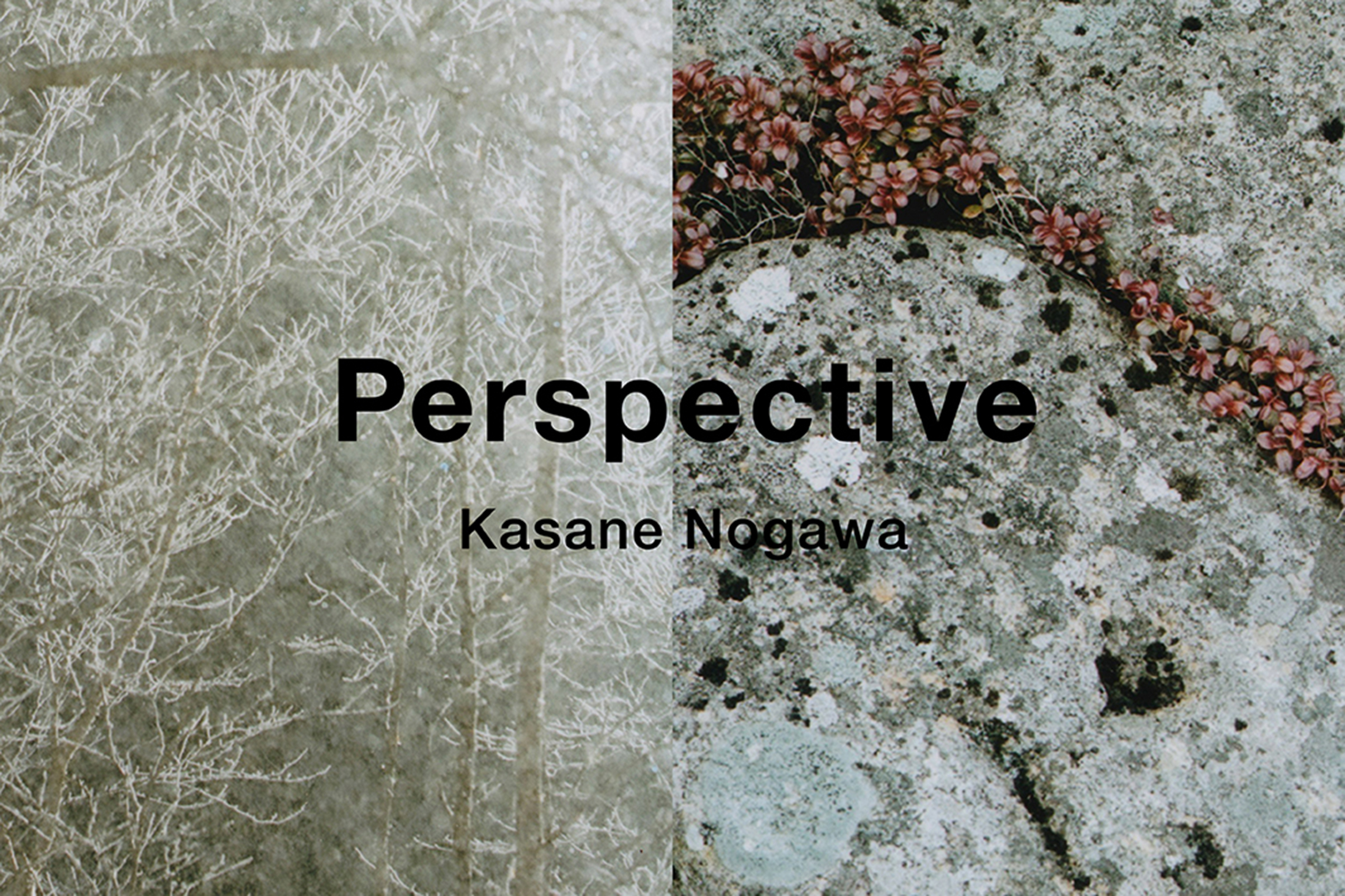 Outdoor Gallery Archives - PAPERSKY