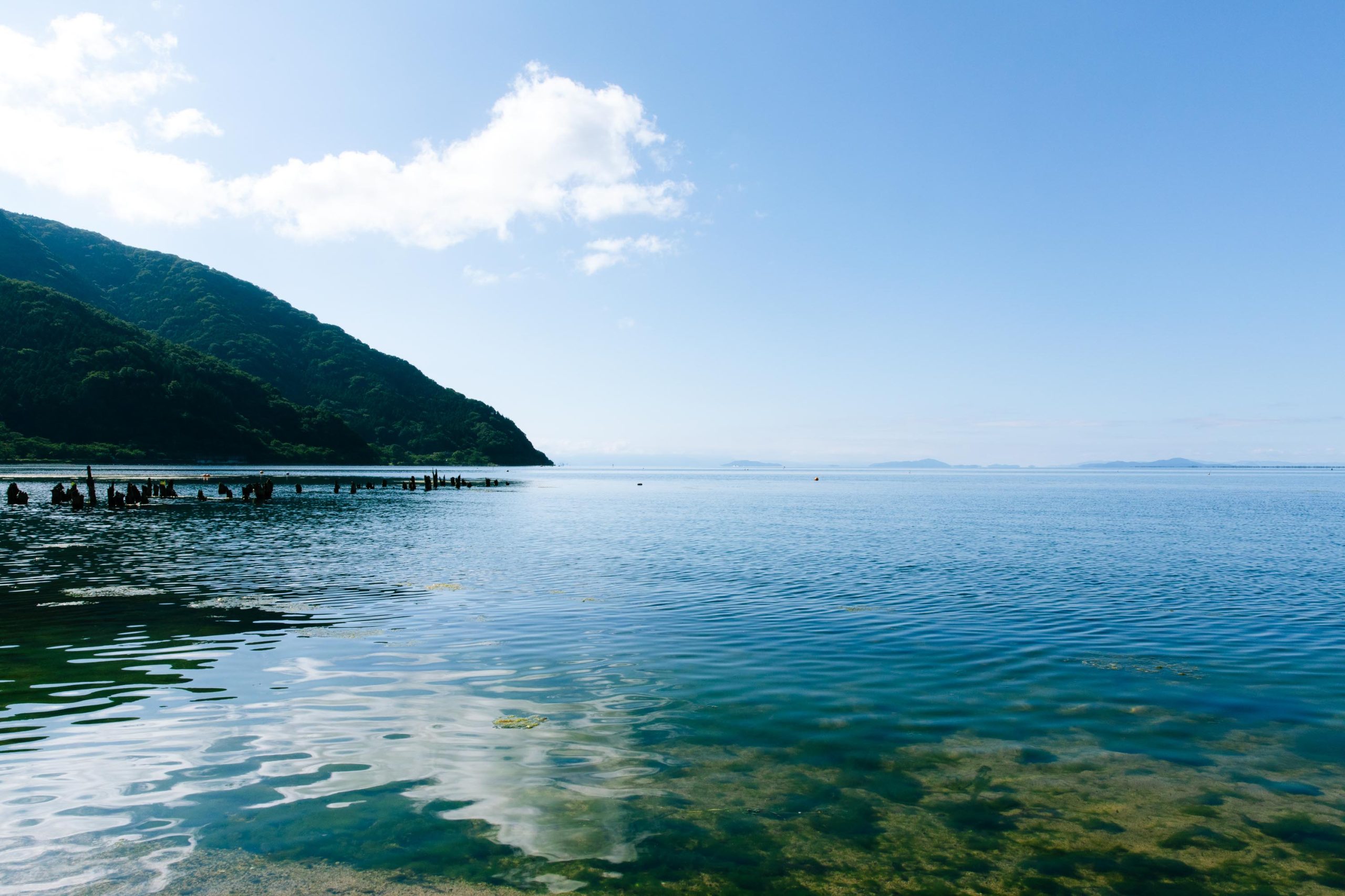 おのおのの取り組みを結集して、“未来に根ざした”実験区をつくる～高島