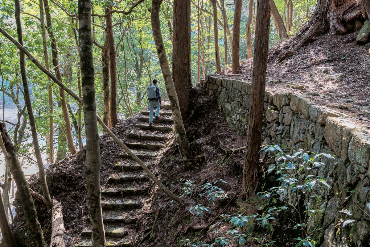 Japan Long Trail Walker- 森林が燦々！ 森から生まれる里山の未来を探しに